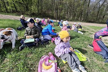 Obrázek č.4